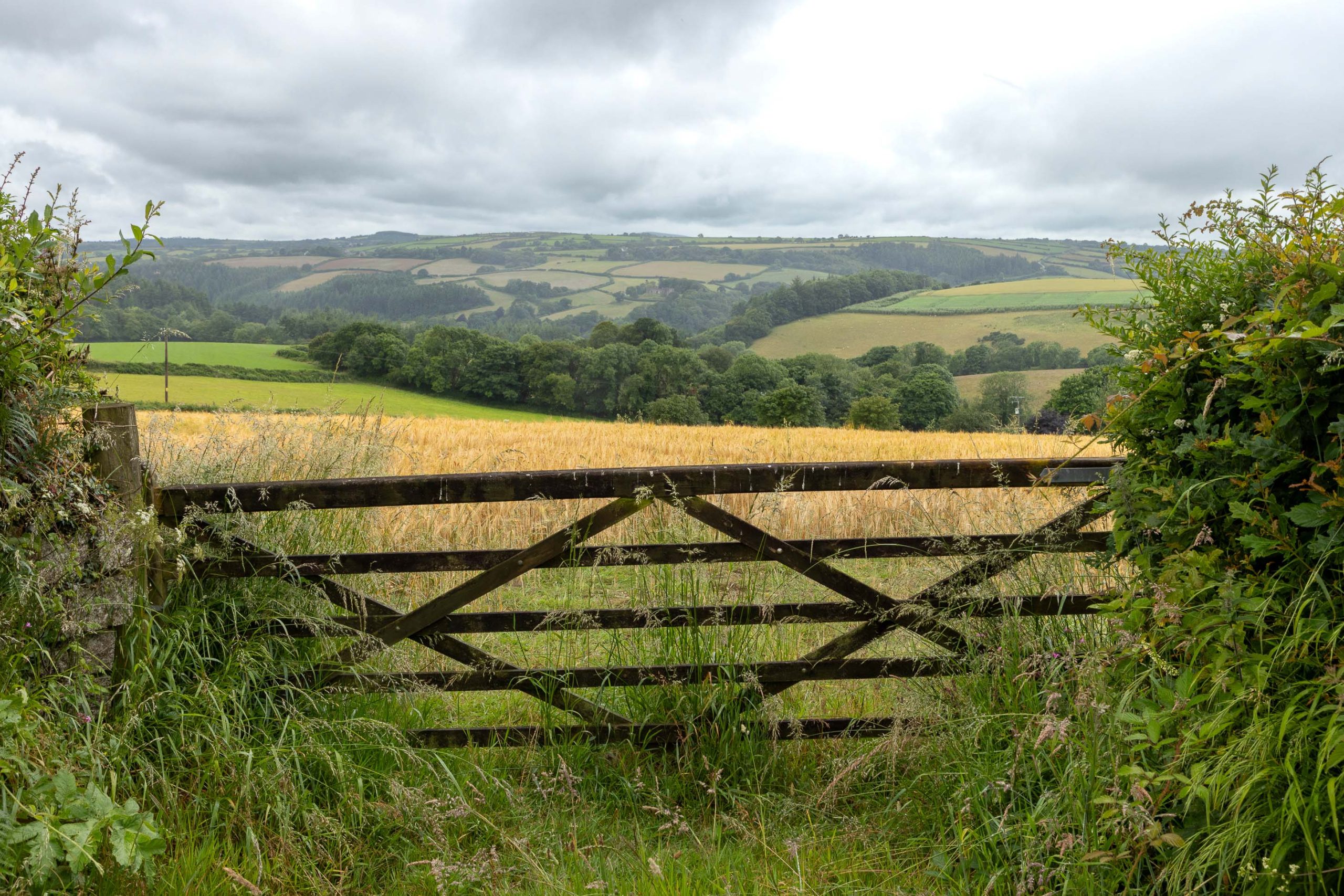Cornwall Fields