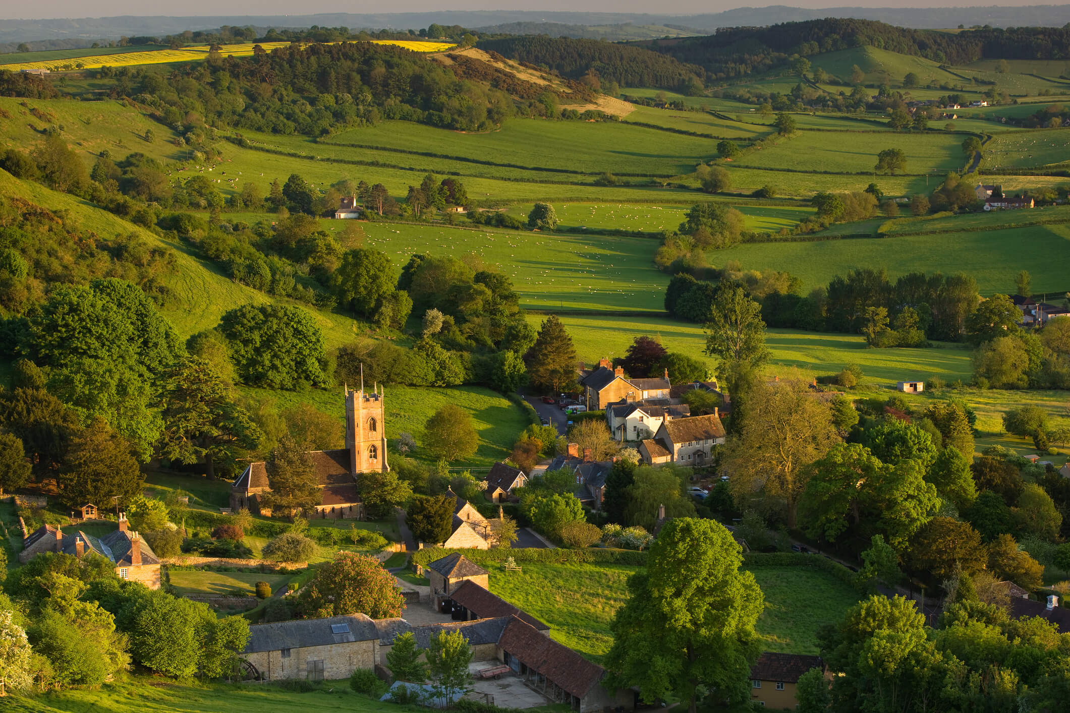 Somerset Fields